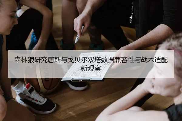 森林狼研究唐斯与戈贝尔双塔数据兼容性与战术适配新观察
